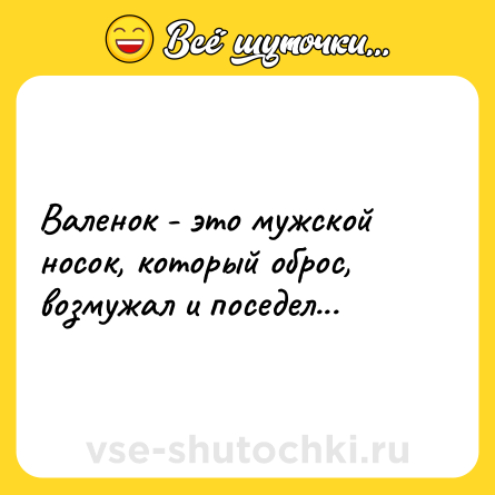 Шутка: Валенок - это мужской носок, который оброс, возмужал и поседел...