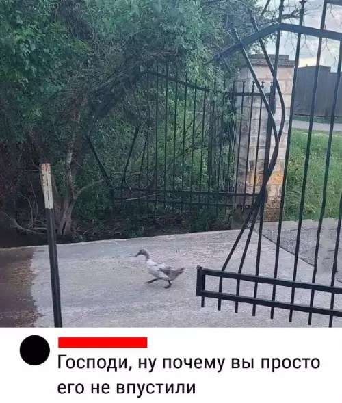 Смешная картинка №680437