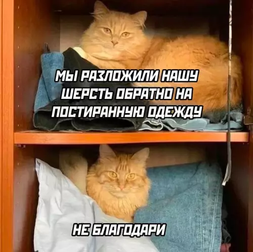 Смешная картинка №687802