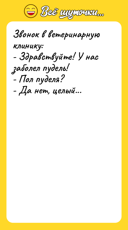 Звонок в ветеринарную клинику: - Здравствуйте! У нас заболел пудель!