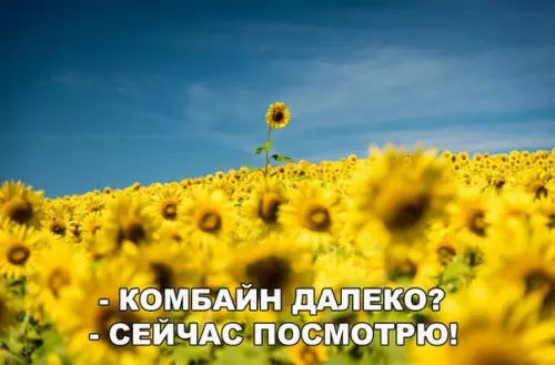 Смешная картинка №206902