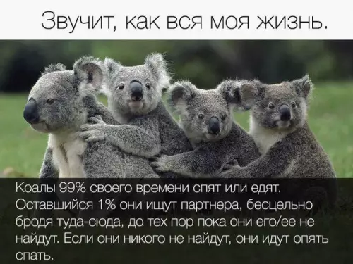 Смешная картинка №414368