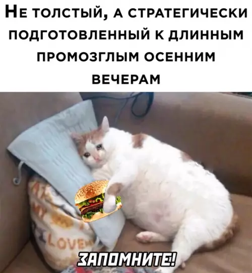 Смешная картинка №596668