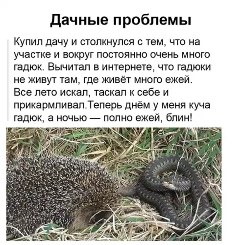 Смешная картинка №366954