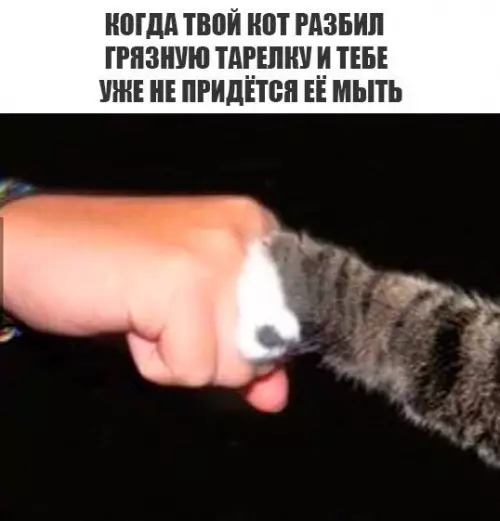 Смешная картинка №300532