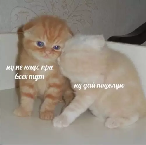 Смешная картинка №690194