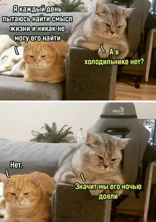 Смешная картинка №700071