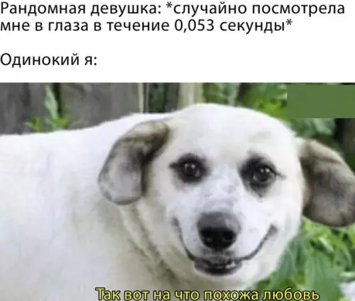 Смешная картинка №568987 любовь