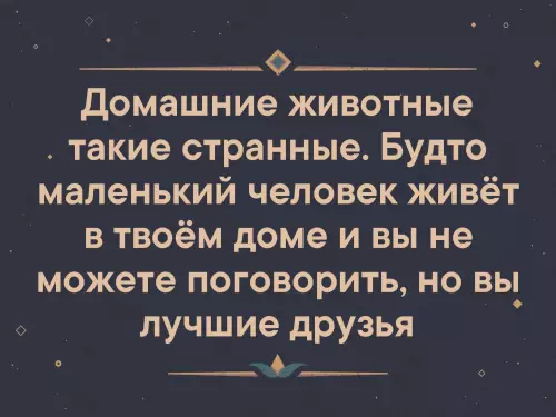 Смешная картинка №324664