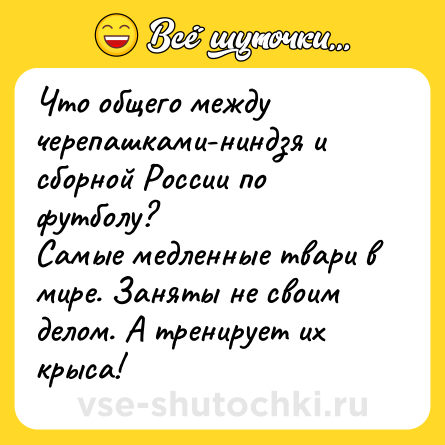 Шутка: Что общего между черепашками-ниндзя и сборной России по футболу?<br>Самые медленные твари в мире. Заняты не своим делом. А тренирует их крыса!
