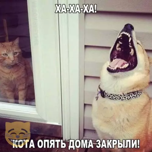 Смешная картинка №336586 #приколы #картинки #мемы ?
