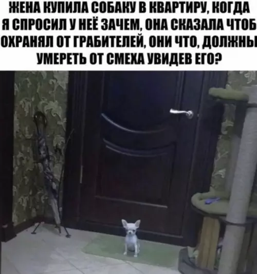 Смешная картинка №503426