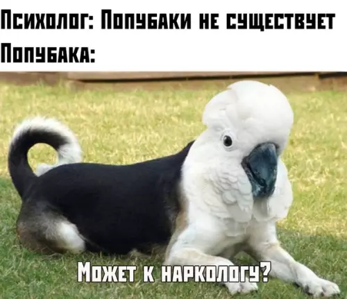 Смешная картинка №386028
