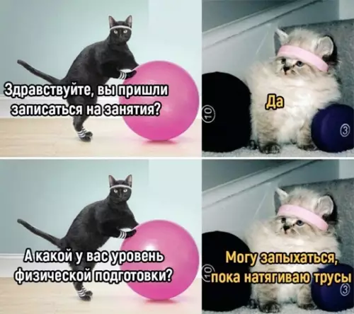 Смешная картинка №766912
