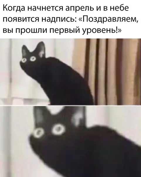 Смешная картинка №481250