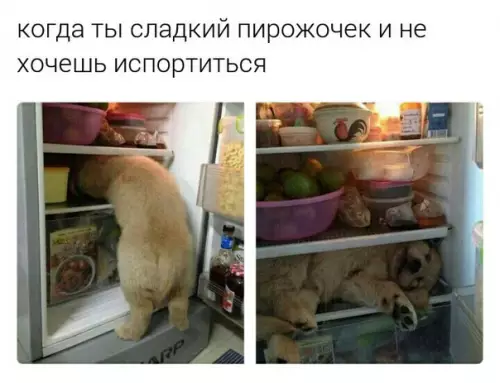 Смешная картинка №179122