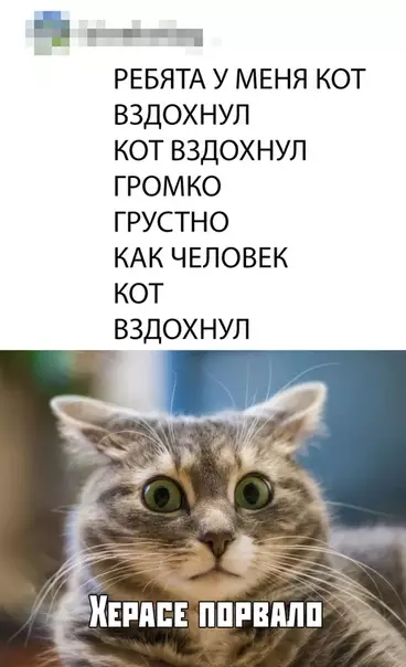 Смешная картинка №378445