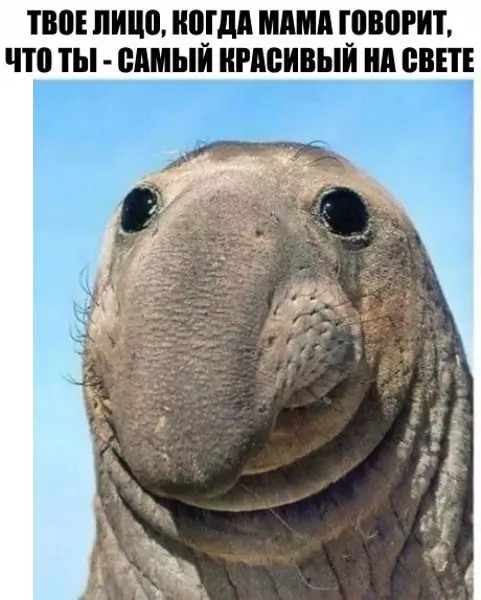 Смешная картинка №182795