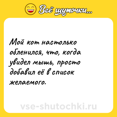 Шутка: Мой кот настолько обленился, что, когда увидел мышь, просто добавил её в список желаемого.