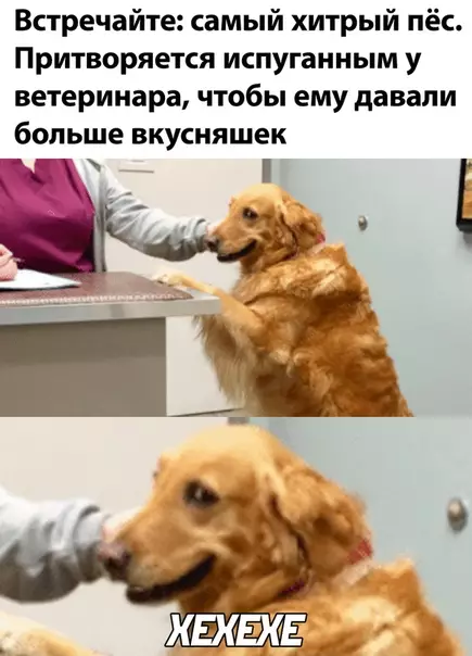 Смешная картинка №507727