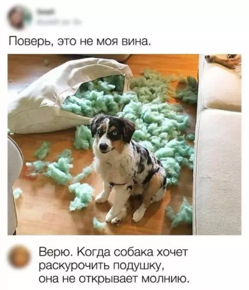 Смешная картинка №272863