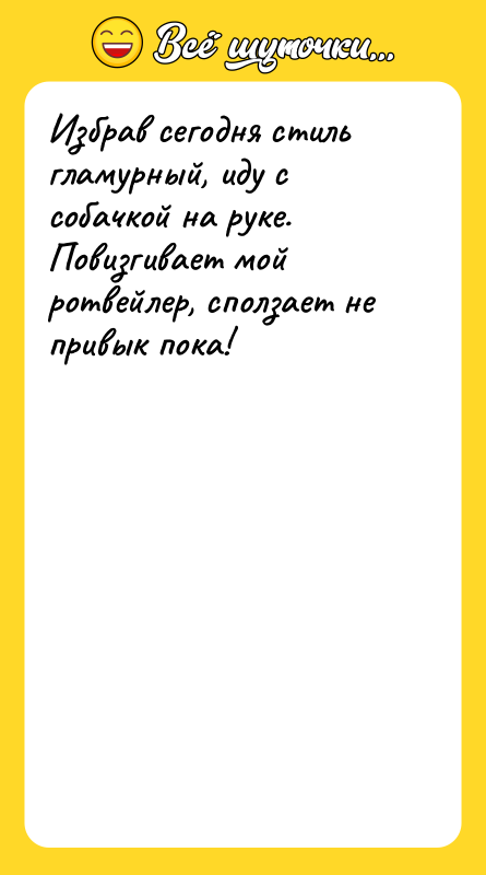 Избрав сегодня стиль гламурный, иду с собачкой на руке. 