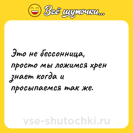 Шутка: Это не бессонница, просто мы ложимся хрен знает когда и просыпаемся так же.