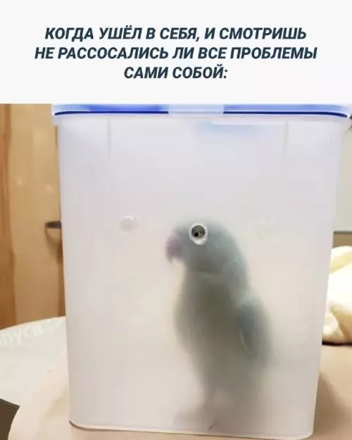 Смешная картинка №715117