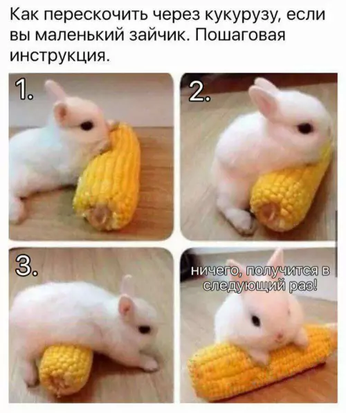 Смешная картинка №665773