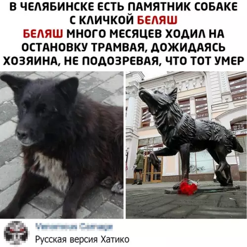 Смешная картинка №502552