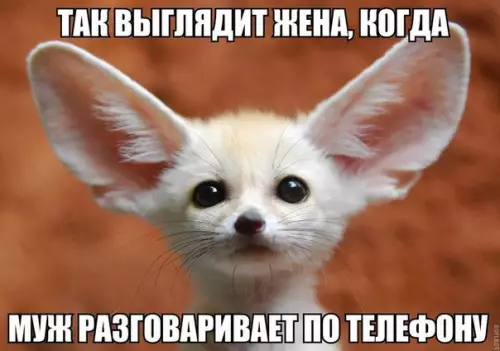 Смешная картинка №215956