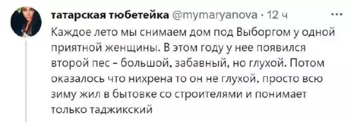 Смешная картинка №708979 Собаки