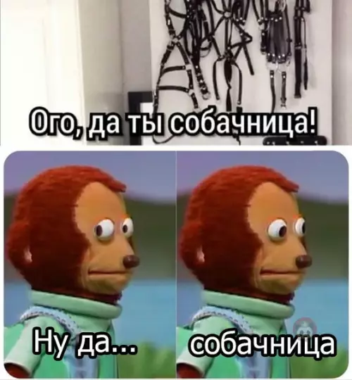 Смешная картинка №479130 Только лаять будешь ты ?