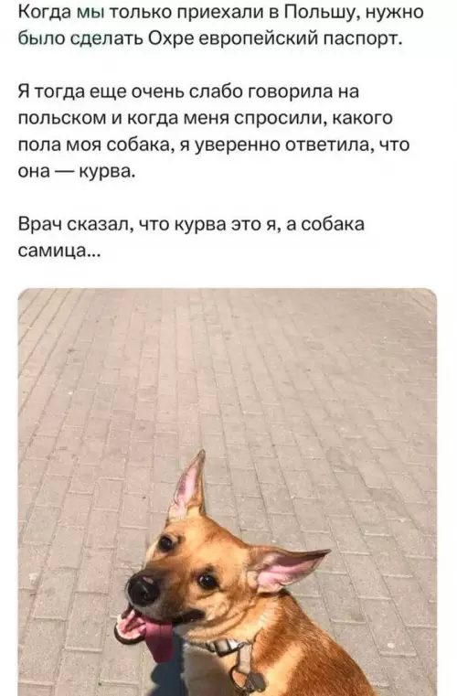 Смешная картинка №712536