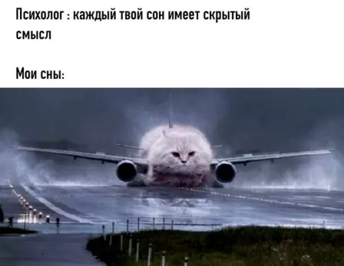 Смешная картинка №526395