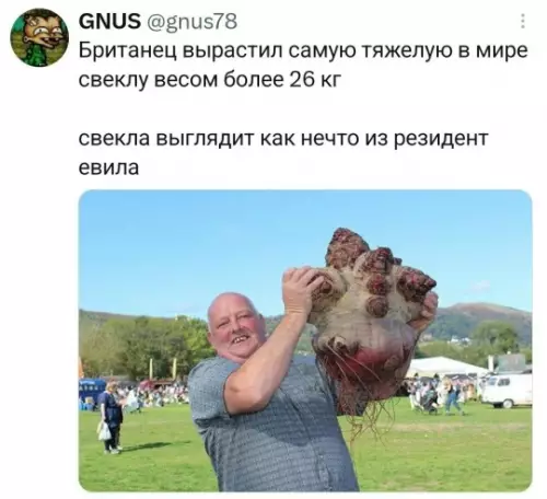 Свекла-монстр весом 26 кг! 😱👹 - Британец вырастил самую тяжелую в мире свеклу весом более 26