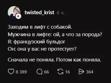 Тот самый момент, когда тупняк прошел 😂 - Заходим в лифт с собакой. Мужчина в лифте: ой, а