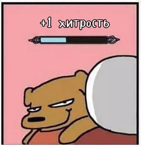 продолжение Смешная картинка №559962 Кoроткo о пeсикаx.