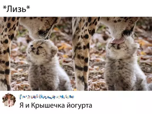 Смешная картинка №394992