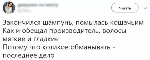 Смешная картинка №243357