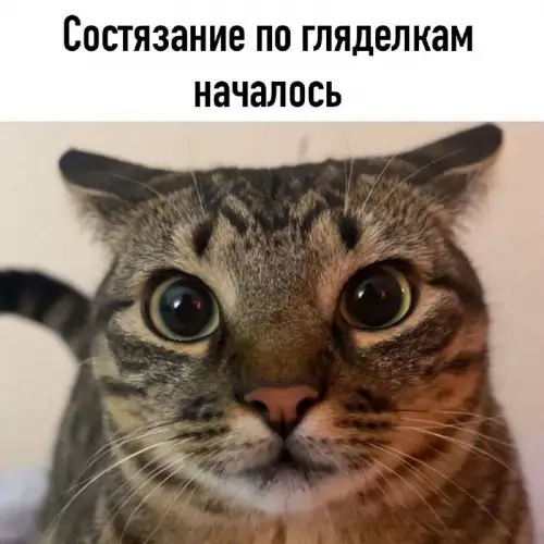 Смешная картинка №699442