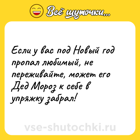 Шутка: Если у вас под Новый год пропал любимый, не переживайте, может его Дед Мороз к себе в упряжку забрал!