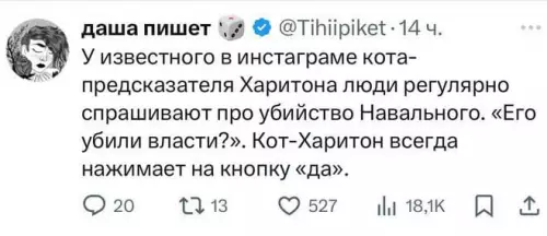 Кот Харитон знает правду! 🐈‍⬛🔮 - даша пишет Tihiipiket 14 ч. У известного в инстаграме кота-предсказателя