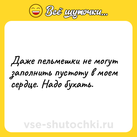 Шутка: Даже пельмешки не могут заполнить пустоту в моем сердце. Надо бухать.