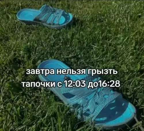 График поедания тапочек 🩴😂 - завтра нельзя грызть тапочки с 12:03 до 16:28