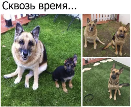 Смешная картинка №274151