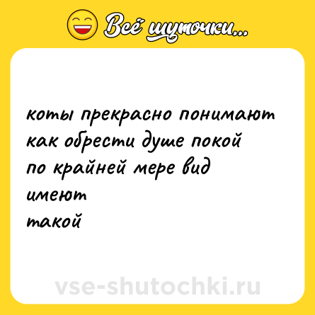 Шутка: коты прекрасно понимают <br>как обрести душе покой <br>по крайней мере вид имеют <br>такой