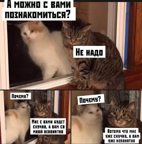 Смешная картинка №495888 Boт и всё