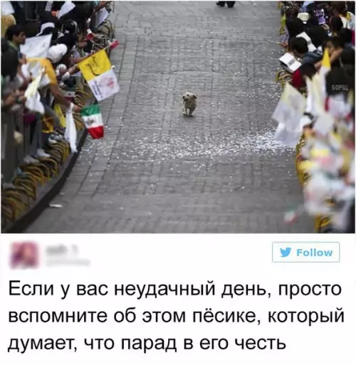 Смешная картинка №244417