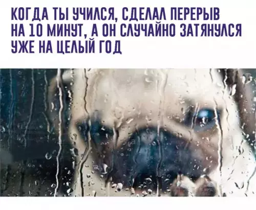 Смешная картинка №217499